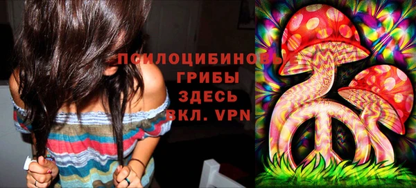 гидропоника Баксан