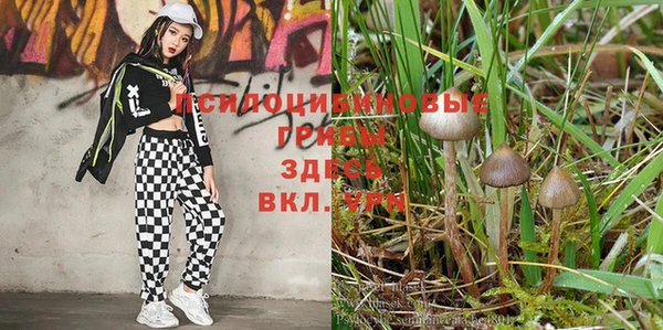 крисы Балахна
