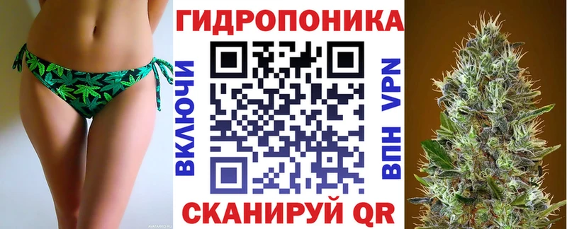 Купить закладки  Чебаркуль  Марихуана VHQ 